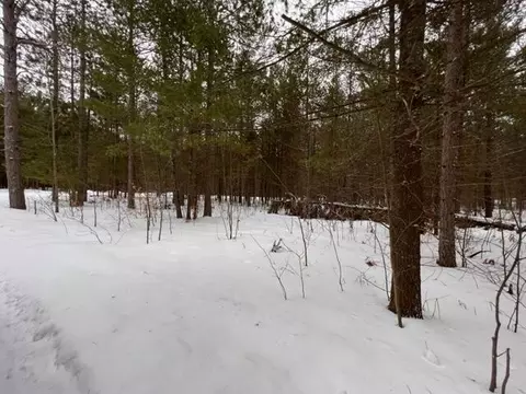 103 White Pine Drive Lot 103 Brutus Mi 49716 Dr #LOT 103, Brutus, MI 49716