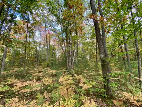 lot6 N 7 N Old 27 Frederic Mi 49733, Frederic, MI 49733 photo 6