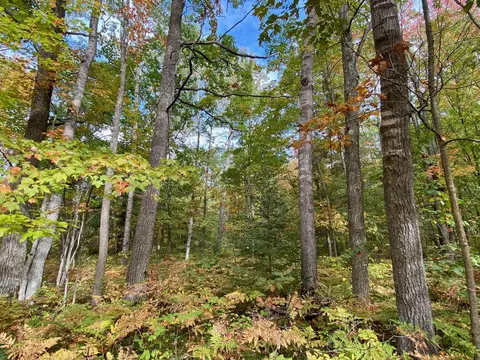 lot6 N 7 N Old 27 Frederic Mi 49733, Frederic, MI 49733