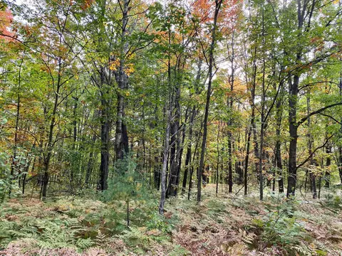 lot6 N 7 N Old 27 Frederic Mi 49733, Frederic, MI 49733 photo 8