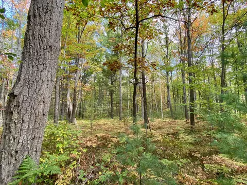 lot6 N 7 N Old 27 Frederic Mi 49733, Frederic, MI 49733 photo 5