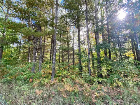 lot6 N 7 N Old 27 Frederic Mi 49733, Frederic, MI 49733 photo 4