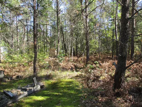 2992 E M-72 Grayling Mi 49738, Grayling, MI 49738 photo 25