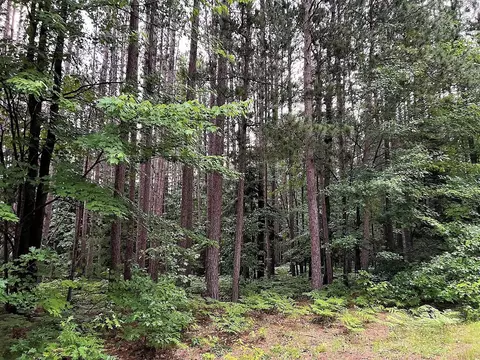 lot18 Lady Slipper Drive Fairview Mi 48621 Dr, Fairview, MI 48621