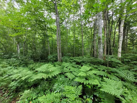 228-231 Vermillion Ln, Ocqueoc, MI 49759