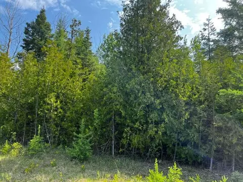 Walmsley Road, Alpena, MI 49707