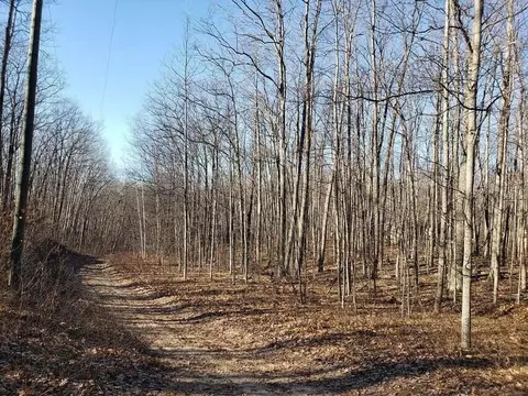 450 Beechwood Dr, Roscommon, MI 48653