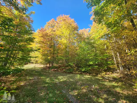 Mccormick Lake Road, Atlanta, MI 49709