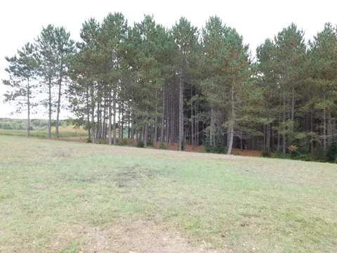 1713 Coupland Rd, Mio, MI 48647 photo 15
