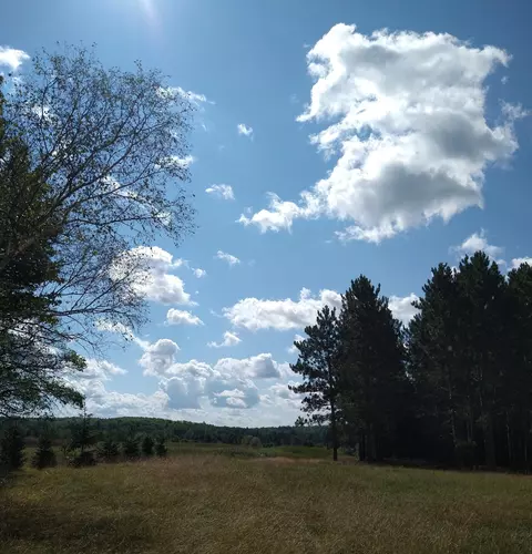 1713 Coupland Rd, Mio, MI 48647 photo 8