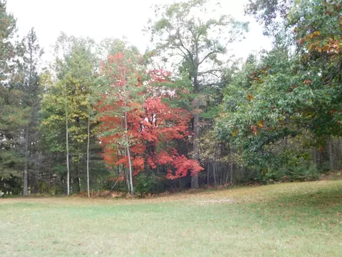 1713 Coupland Rd, Mio, MI 48647 photo 16