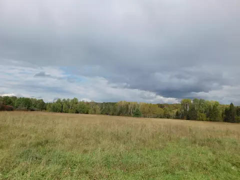 1713 Coupland Rd, Mio, MI 48647 photo 18