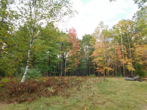 1713 Coupland Rd, Mio, MI 48647 photo 10
