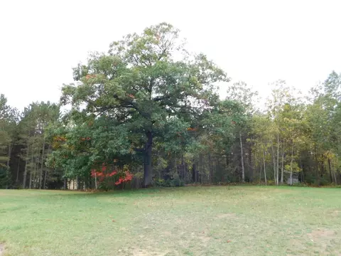 1713 Coupland Rd, Mio, MI 48647 photo 12