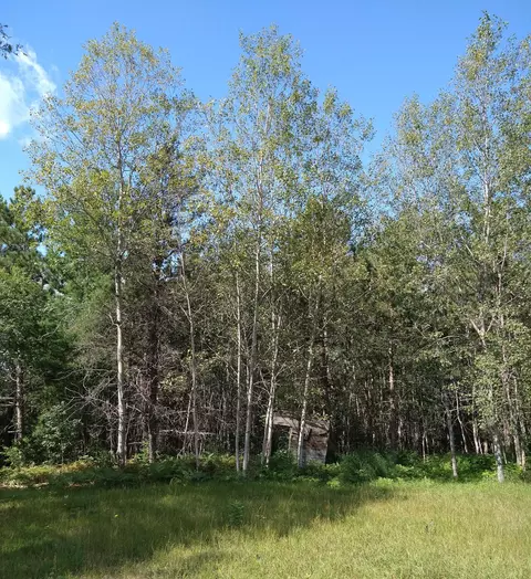 1713 Coupland Rd, Mio, MI 48647 photo 6