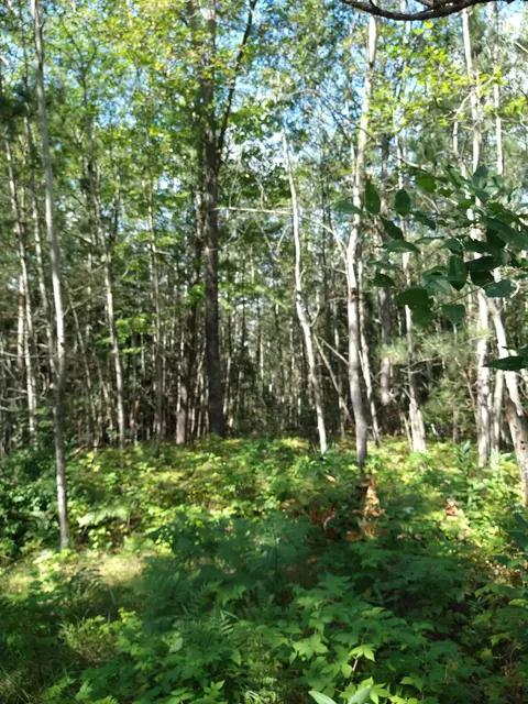 1713 Coupland Rd, Mio, MI 48647 photo 7