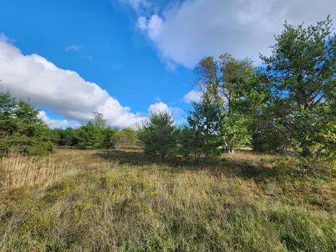 Co Rd 491, Lewiston, MI 49756