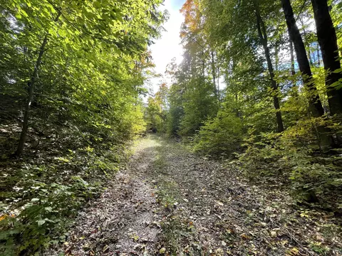 Jo-ca Lane, Vanderbilt, MI 49795 photo 6