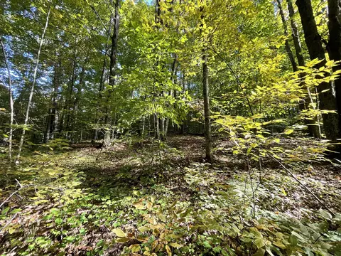 Jo-ca Lane, Vanderbilt, MI 49795 photo 10