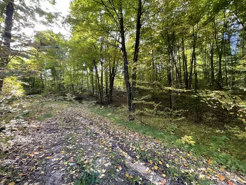 Jo-ca Lane, Vanderbilt, MI 49795 photo 9