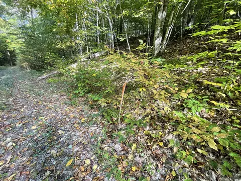 Jo-ca Lane, Vanderbilt, MI 49795 photo 4
