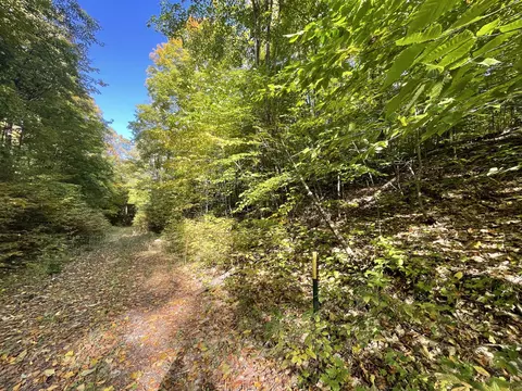 Jo-ca Lane, Vanderbilt, MI 49795