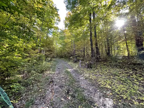 Jo-ca Lane, Vanderbilt, MI 49795 photo 11
