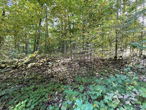 Jo-ca Lane, Vanderbilt, MI 49795 photo 8