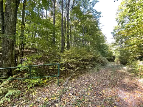 Jo-ca Lane, Vanderbilt, MI 49795 photo 14