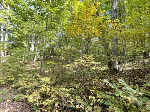 Jo-ca Lane, Vanderbilt, MI 49795 photo 7