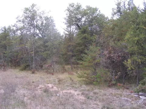 Parcel B North Down River Road, Grayling, MI 49738 photo 4