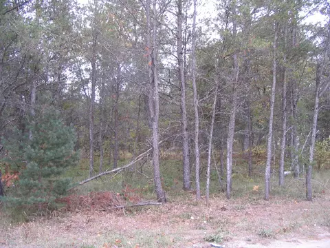 Parcel B North Down River Road, Grayling, MI 49738 photo 6