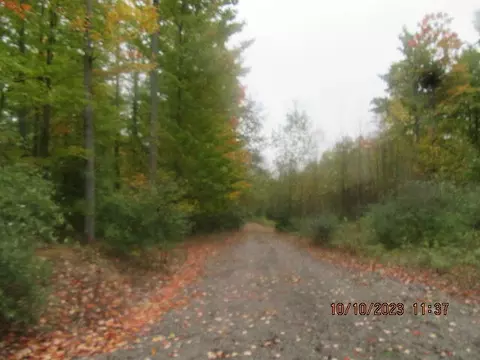 S Mount Tom Road, Mio, MI 48647 photo 5
