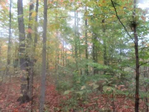 S Mount Tom Road, Mio, MI 48647 photo 7