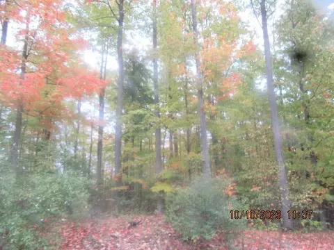 S Mount Tom Road, Mio, MI 48647 photo 6