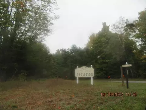 S Mount Tom Road, Mio, MI 48647 photo 3