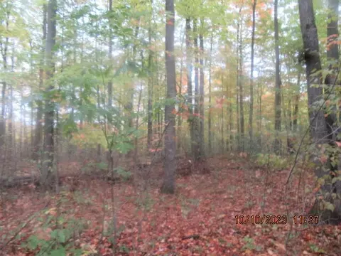 S Mount Tom Road, Mio, MI 48647