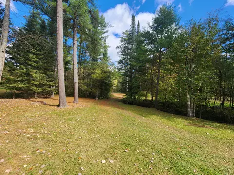 1330 Cauchy Road Mio Mi 48647 Rd, Mio, MI 48647 photo 17