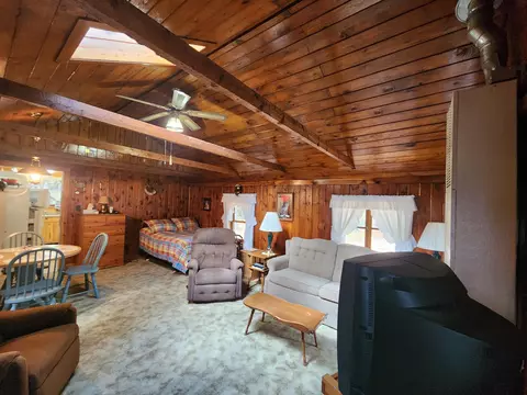 1330 Cauchy Road Mio Mi 48647 Rd, Mio, MI 48647 photo 20