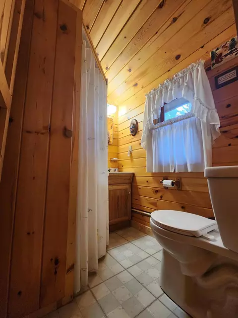 1330 Cauchy Road Mio Mi 48647 Rd, Mio, MI 48647 photo 30
