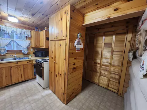 1330 Cauchy Road Mio Mi 48647 Rd, Mio, MI 48647 photo 29