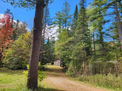 1330 Cauchy Road Mio Mi 48647 Rd, Mio, MI 48647 photo 35