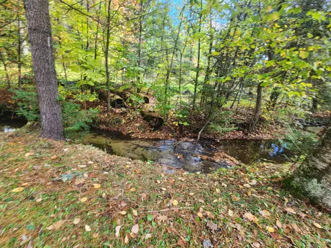 1330 Cauchy Road Mio Mi 48647 Rd, Mio, MI 48647 photo 36