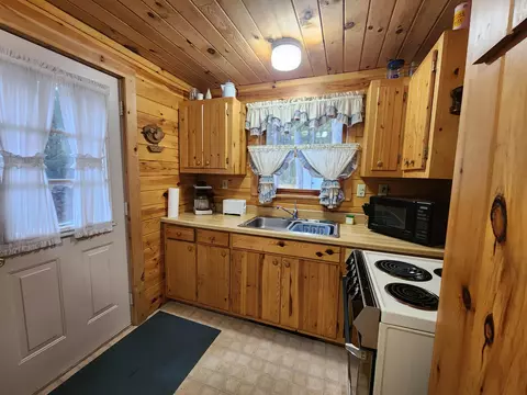 1330 Cauchy Road Mio Mi 48647 Rd, Mio, MI 48647 photo 25