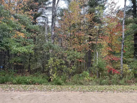 lot10 Travelo Trail Houghton Lake Mi 48629 Trl, Houghton Lake, MI 48629