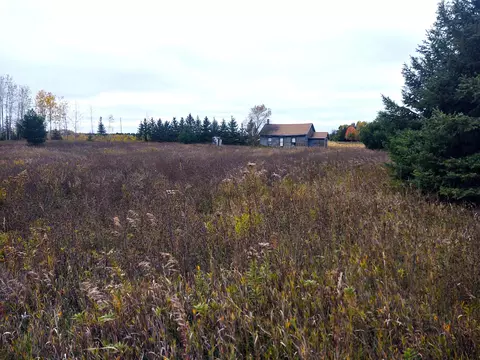 1041 Paul Rd, Hillman, MI 49746 photo 2