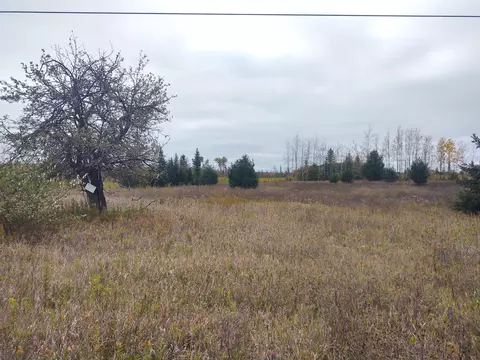 1041 Paul Road Hillman Mi 49746 Rd, Hillman, MI 49746