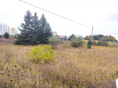 1041 Paul Rd, Hillman, MI 49746 photo 3