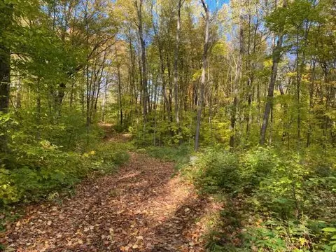 Coyote Trail, Frederic, MI 49733 photo 3