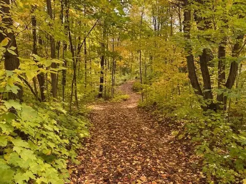 Coyote Trail, Frederic, MI 49733 photo 7